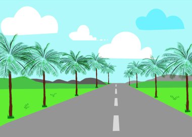 palms at summer landscape, selective focus