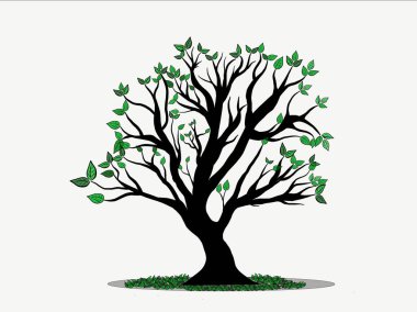 Beyaz arkaplanda yaprakları olan yeşil ağaç