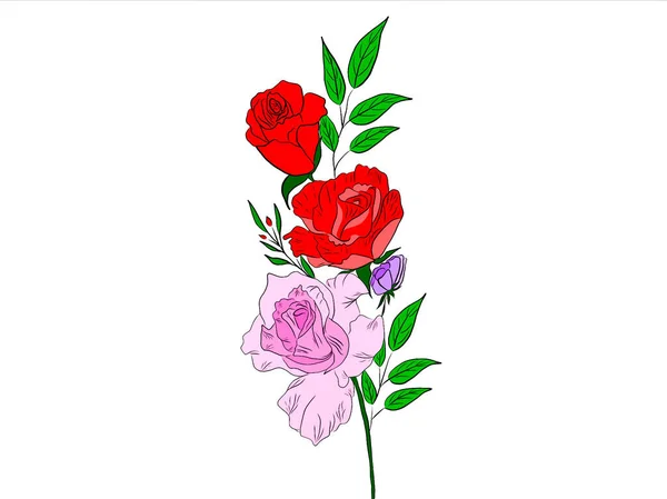 Red Roses Isolated White Background — Stock Photo, Image