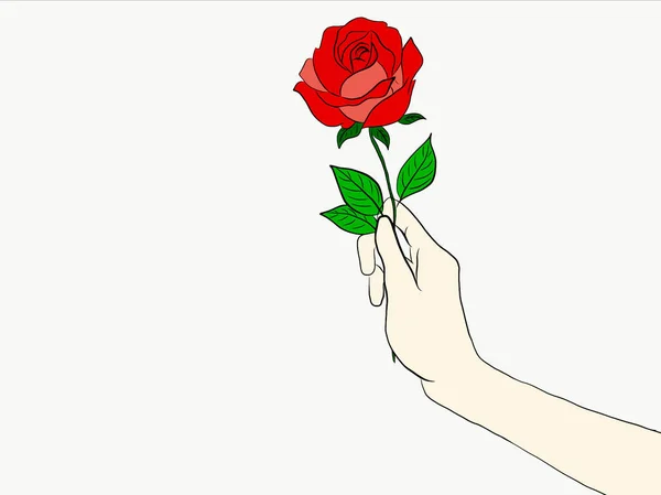 Красные Розы Белом Фоне — стоковое фото
