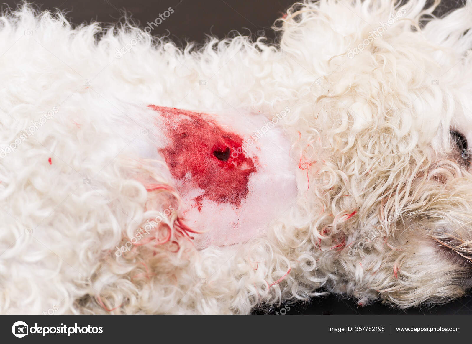 In Gedanken - nevernixs Webseite!, image size:1600x1167