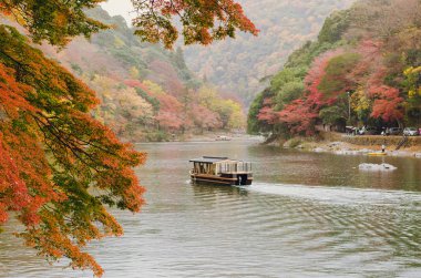Japonya 'nın Kyoto kenti Arashiyama' da Sonbahar mevsiminin renkli akçaağaç yapraklarıyla Katsura nehri boyunca giden tekne..