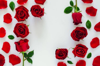 Yaprakları ve yaprakları olan kırmızı güller Sevgililer Günü için kare şeklindeki beyaz arka planda. Düz arkaplan kavramı