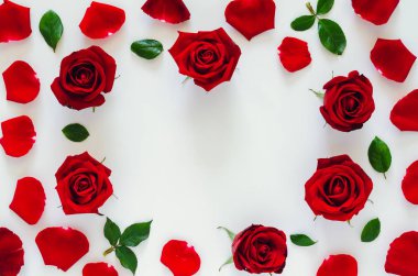 Yaprakları ve taç yaprakları olan kırmızı güller Sevgililer Günü için kalp şeklindeki beyaz arka planda. Düz arkaplan kavramı