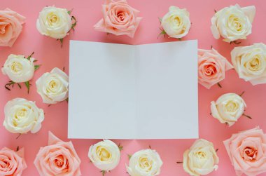 Pembe ve beyaz güller pembe arka planda, Sevgililer Günü 'nde beyaz kart takılıyor. Düz arkaplan kavramı