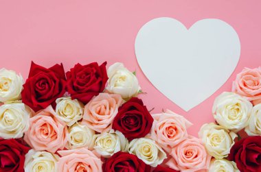 Sevgililer Günü için beyaz kalp şeklinde pembe arka plan sürmüş renkli güller. Düz arkaplan kavramı