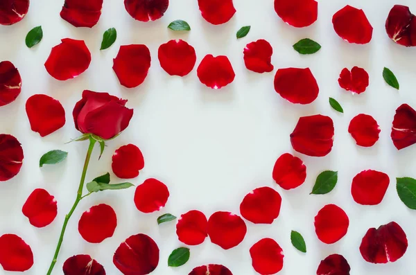 Κόκκινο Τριαντάφυλλο Πέταλα Και Φύλλα Λευκό Φόντο Χώρο Σχήμα Καρδιάς — Φωτογραφία Αρχείου