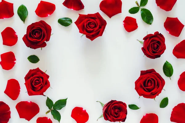 Rosas Rojas Con Sus Pétalos Hojas Puestas Sobre Fondo Blanco —  Fotos de Stock