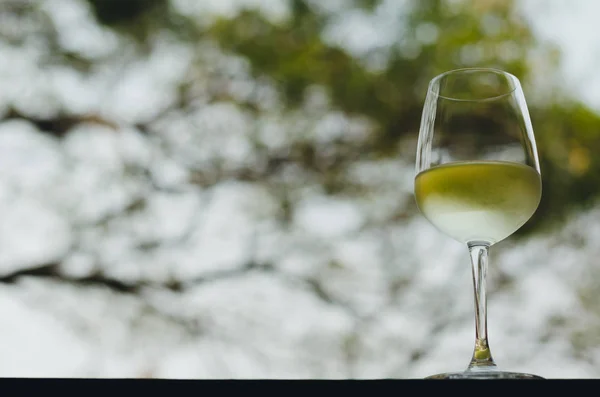 Copo Vinho Branco Mesa Com Fundo Árvore Embaçada — Fotografia de Stock