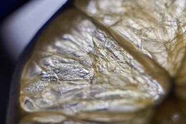 Citrus. Limon ve greyfurttan açık ve şeffaf