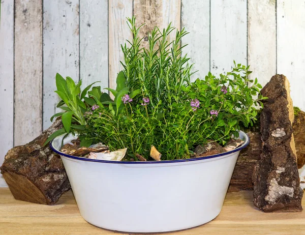 Many herbs in an old wash bowl. — Stock Photo, Image