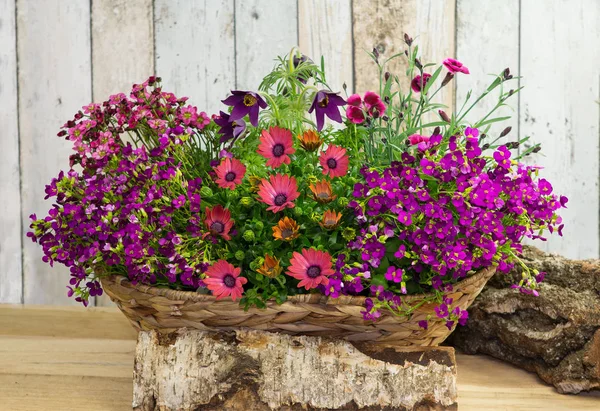 Un panier avec des fleurs printanières Image En Vente