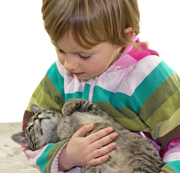 Küçük kedi bir çocuğun kollarında döşeme. — Stok fotoğraf