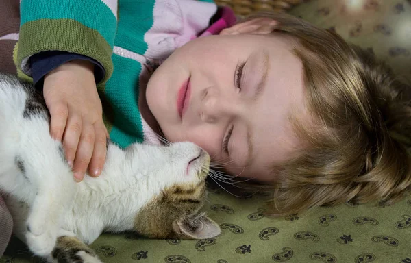 小さな女の子と若い猫が眠っています。. — ストック写真