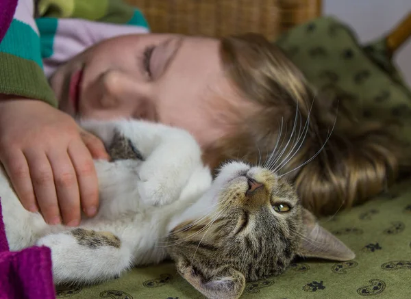 Klein meisje en kat zijn ontspannen. — Stockfoto