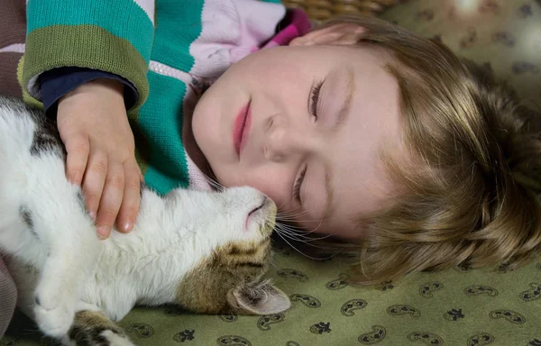 Bambina e giovane gatto dormono . — Foto Stock