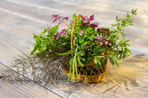 Primer Plano Una Canasta Con Hierbas Curativas Frescas Del Jardín — Foto de Stock