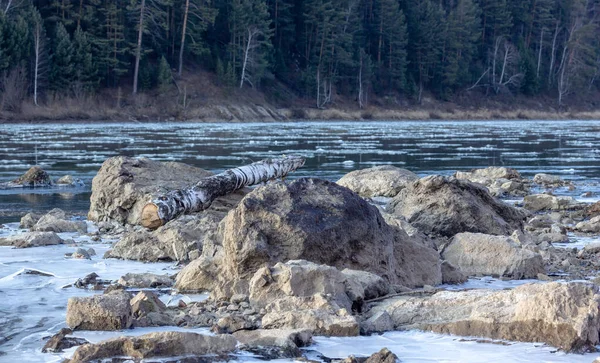 O rio em que o Shuga flutua em frente ao quebra-gelo em primeiro plano as pedras Imagem De Stock