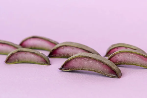 Aloe mor bir arka planda kesilmiş. Desen