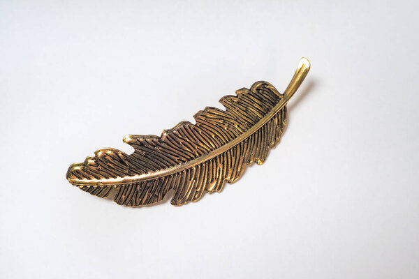 the bird's feather is Golden. the object is iron. concept for designers.