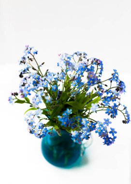 Mavi güzel çiçek Beni unutma