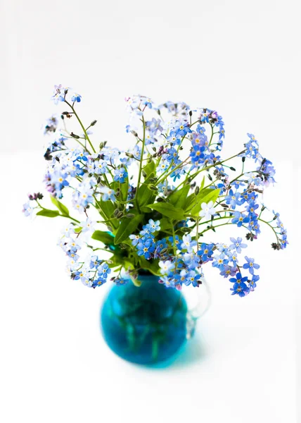 Blue Beautiful Flower Forget — стоковое фото