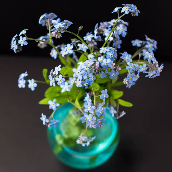 Flores Azules Que Olvidan Jarrón Cristal Sobre Fondo Negro — Foto de Stock