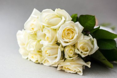 Açık arkaplanda güzel beyaz güller