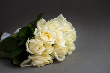 Açık arkaplanda güzel beyaz güller