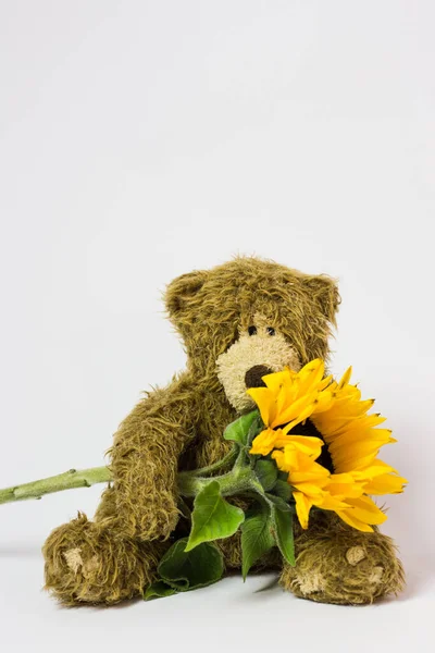Hračka Roztomilý Medvídek Živou Květinou Tlapkách — Stock fotografie