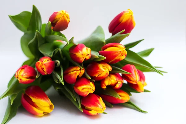 Schöne Tseti Tulpen Und Rosen Auf Hellem Hintergrund — Stockfoto