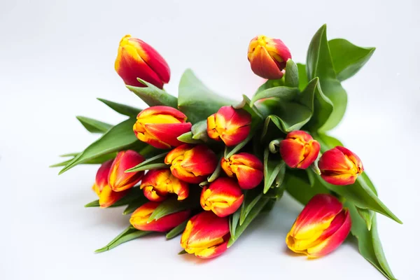 Schöne Tseti Tulpen Und Rosen Auf Hellem Hintergrund — Stockfoto