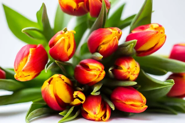 Schöne Tseti Tulpen Und Rosen Auf Hellem Hintergrund — Stockfoto