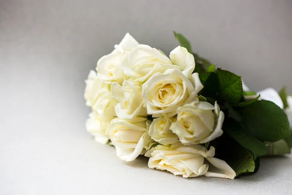 Belles Roses Blanches Sur Fond Clair — Photo
