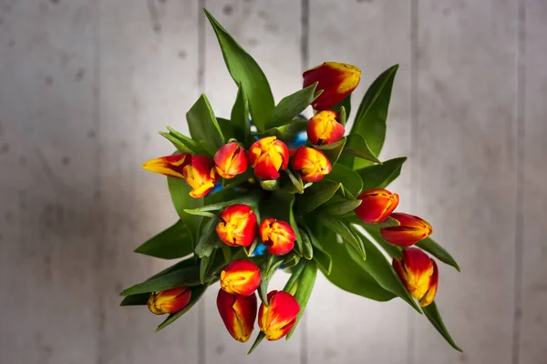 Schöne Tseti Tulpen Und Rosen Auf Hellem Hintergrund — Stockfoto