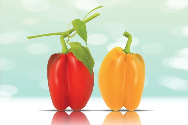Kırmızı ve Turuncu Gerçekçi Paprika Vektörü