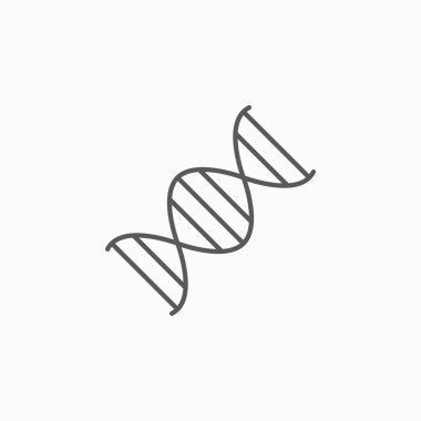 DNA simgesi, Deoksiribonükleik asit vektörü, kromozom çizimi