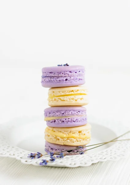 Lavendel und Vanillemacarons auf weißem Teller — Stockfoto