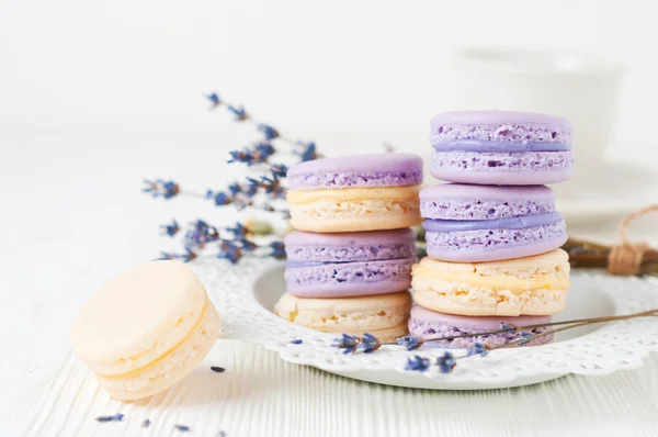 Makronen mit Lavendel- und Vanillefüllung — Stockfoto
