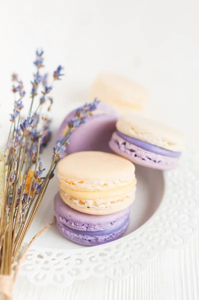 Macarons στο πιάτο λευκή δαντέλα Εικόνα Αρχείου