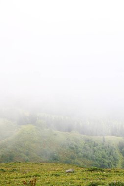 Dağ manzarası. Bulutlardaki dağlar