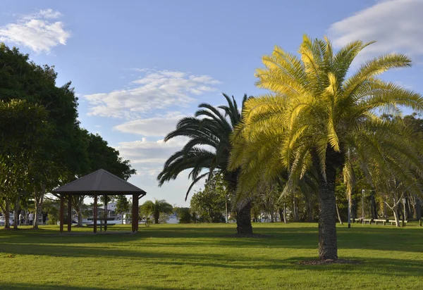 Sunny-Evening-in-a-Park-with-a-Palm-Tree-lit-by-the-Sun-in-the-f