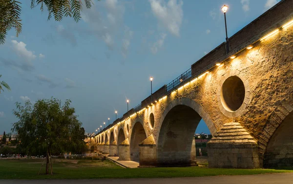 Palmen brug in Badajoz — Stockfoto
