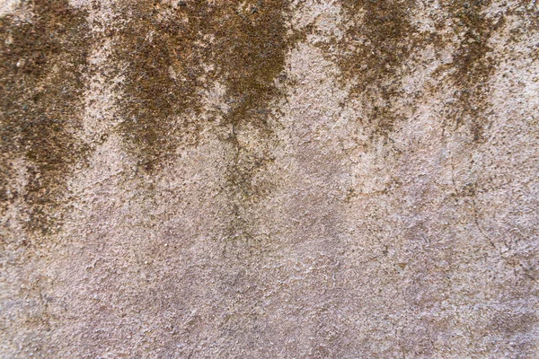 Dirty fungus or mold on the wall texture background