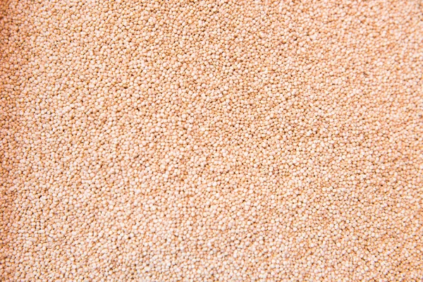 Weiße Bio-Quinoa — Stockfoto