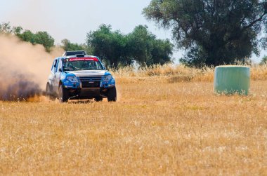  TT İspanyolca Ralli Şampiyonası. 