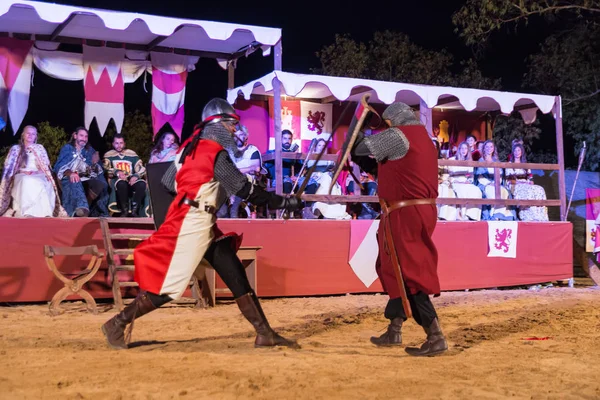 Doi cavaleri luptând — Fotografie, imagine de stoc