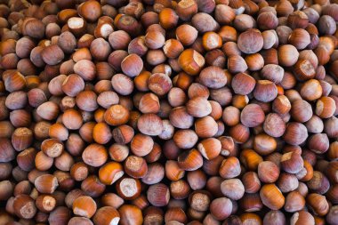 Doğal kestane arka plan