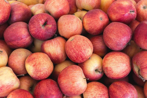 Ecologica Äpfel Hintergrund — Stockfoto