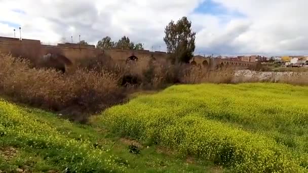 Panoramisch Uitzicht Van Badajoz Extremadura Spanje Europa — Stockvideo